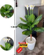 Plante Artificielle Haut de Gamme 1,30m